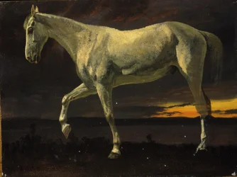 Cheval blanc et coucher de soleil